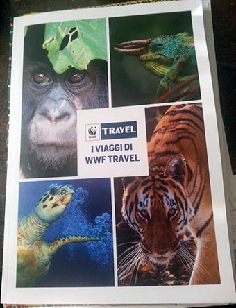 12xwwftravelcatalogo