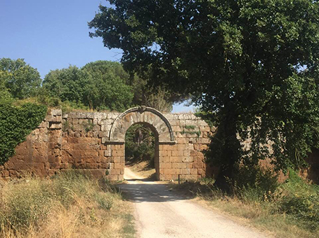 16Falerii Novi