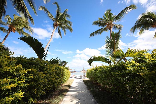 23mauritiusvillaspalme