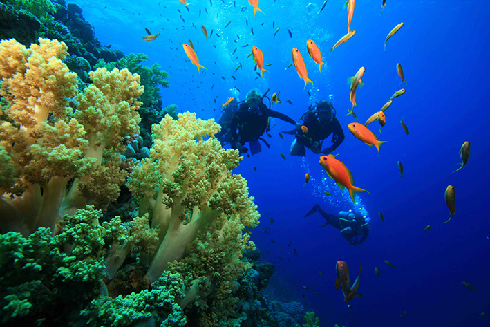 25Go Scuba 2020