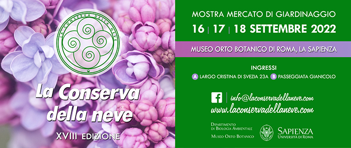 25conservadellaneve