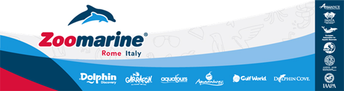 25logo zoomarine