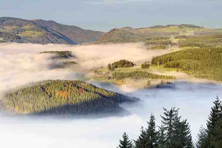 26FORESTA NERA Neustadt Titisee c GNTB Francesco Caravillano