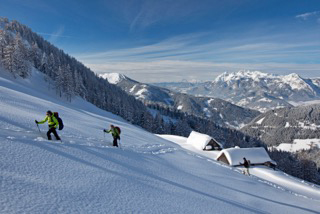 Austrianevestiria