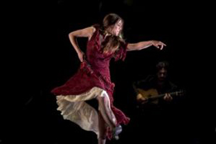 BVFlamencoDic11
