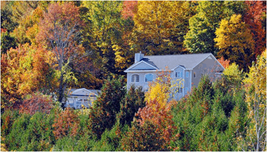 Bostonfoliageconcasa19