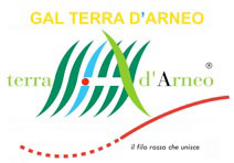 GalLogo8