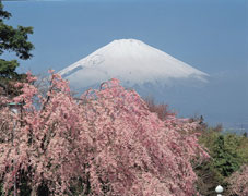 GiapponemonteFuji