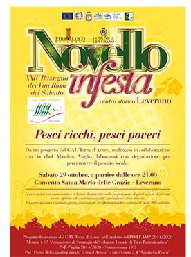 Novello in Festa 20222