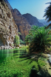 OMANcult