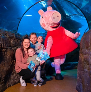 Pergardalandpeppapig 1