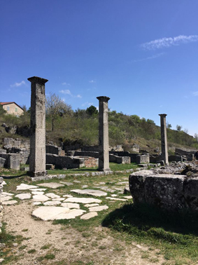 albafucens10