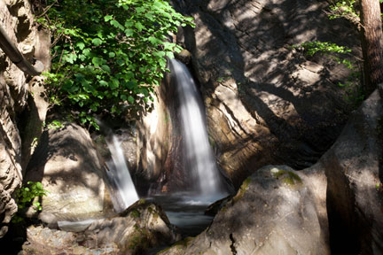 alletermeluigianefonte