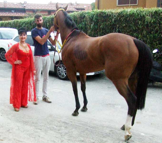 andosMrinaconCavallo24