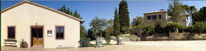 antonelliAZIENDA24