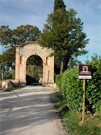 antonellingresso12