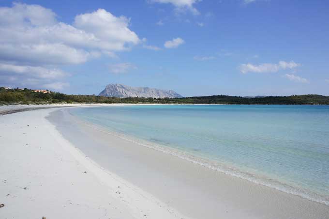 arenaparadiseresort24