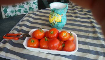 botturapomodori12
