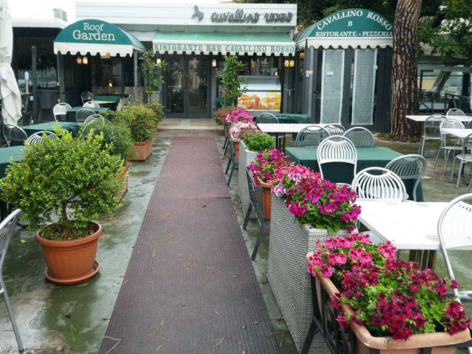 cavallinogiardino24