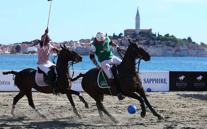 cavallipolorovigno24