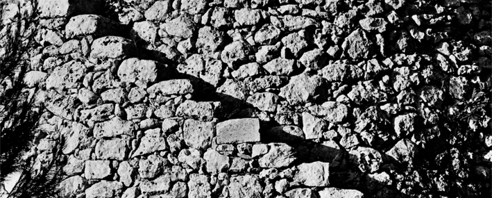 contestsalentoVestas25