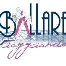 logo bv